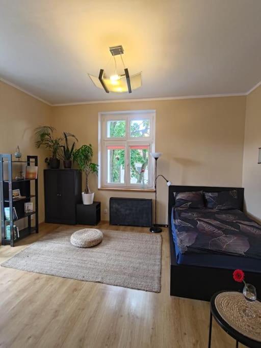 Mieszkanie Oliwa Wspolny Przedpokoj Apartment
